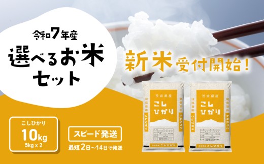 【最短発送】令和7年産 新米 精米 コシヒカリ 10kg 9月発送 令和7年産米 [SF295yai]