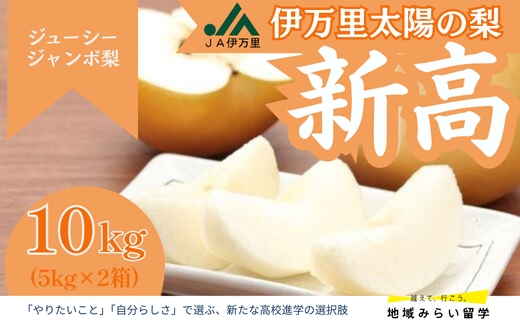 [JA伊万里]佐賀・伊万里梨「新高」 10kg(約5kg×2箱)