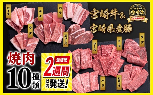 【最速便】宮崎牛＆宮崎県産豚肉 焼肉10種盛り 食べ比べセット計600g 宮崎牛4等級以上 国産牛 豚肉  ブランド牛 ミヤチク 内閣総理大臣賞4連覇＜1.2-68＞● 2258596 - 宮崎県西都市