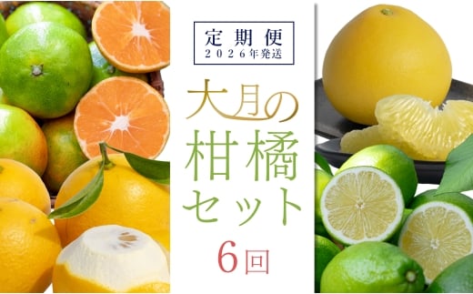 【定期便 6回】大月町旬の柑橘セット
