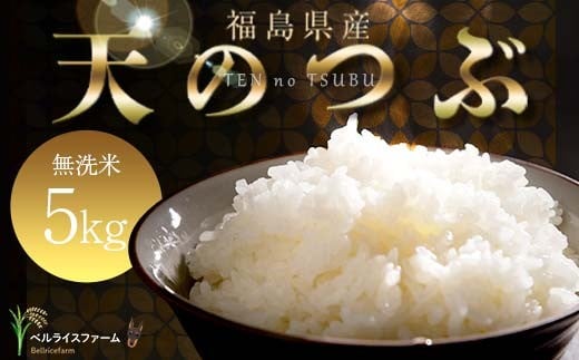〈先行予約〉令和7年産 農家直送 ベルライスファームの天のつぶ 無洗米5kg F6U-128