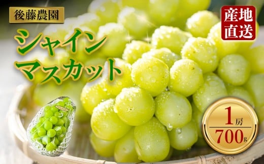 「後藤農園」シャインマスカット 約700g 1房  希少  ぶどう 新鮮 期間限定 皮ごと ブドウお取り寄せ　熊本県　阿蘇市 2259701 - 熊本県阿蘇市
