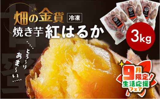 [ 期間限定 生活応援 ]畑の金貨 焼き芋紅はるか 3kg K181-001_01_cp