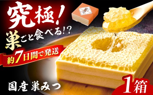 国産巣みつ 300g 蜂蜜 はちみつ ハチ