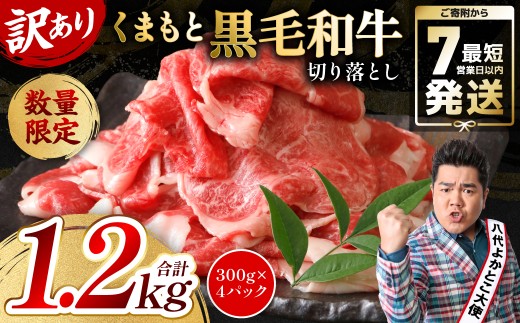 【訳あり】 くまもと黒毛和牛 切り落とし ◆毎月数量限定◆ 1.02kg (340g×3パック) 様々な料理に活躍！ 小分け