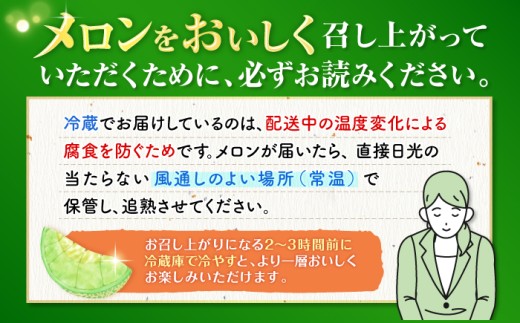 タカミ メロン 2玉