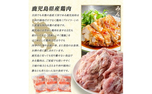 まつぼっくりをご紹介！