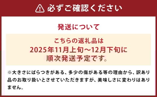 太陽と潮風を浴びて育った 長崎県時津町産 温州みかん 約5kg【訳あり】 