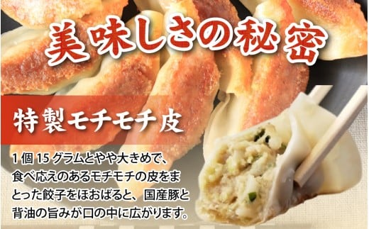 塩ホルモン