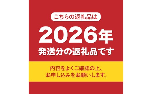 山梨県富士吉田市のふるさと納税 【2026年発送 先行予約】【2回定期便】ジューシーで甘さ抜群 厳選シャインマスカット1kg以上×2回配送 ぶどう 果物 フルーツ 旬 山梨県 2026年 山梨 富士吉田市
