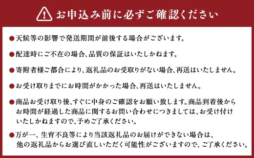 【6か月隔月定期便】旬の熊本フルーツ単品定期便 