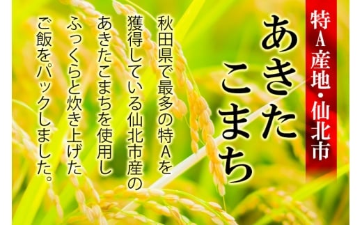 秋田県仙北市のふるさと納税 米 白米 パックご飯 200g×40個《特A産地》秋田県 仙北市産 あきたこまち パックごはん【 パックご飯 パックライス ご飯 ご飯パック ごはんパック パック レトルト 米】