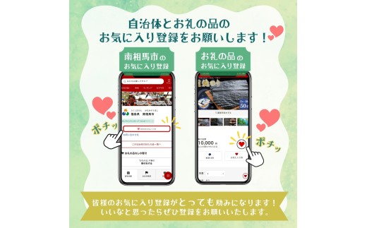 【先行予約】花ギフト定期便 6ヶ月 シクラメン クレマチス アジサイ | 花 お花 ギフト フラワーギフト 根本園芸
