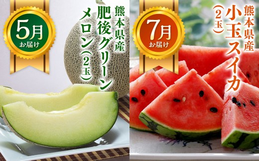 【6か月隔月定期便】旬の熊本フルーツ単品定期便 