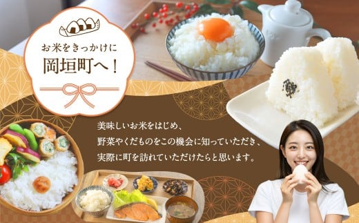 【令和7年産】福岡県産つやさくら 10kg