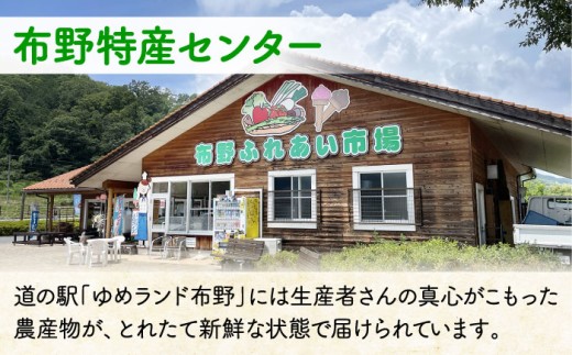 アイス ギフト ジェラート 詰め合わせ 酪農 ふるさと納税 アイス クリーム