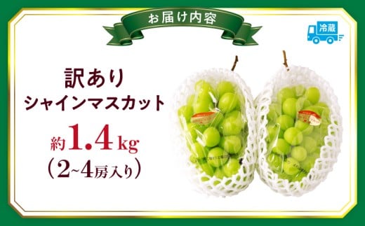 訳ありシャインマスカット　4キロ  産地直送　数量限定 楽天市場】シャインマスカット 訳あり 4kg 山梨県産 粒不揃い