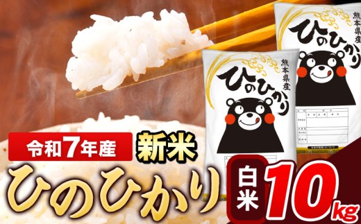 新米 米 令和7年産 ひのひかり 白米 10kg 《9月下旬-11月上旬頃出荷》 5kg×1袋 熊本県産 米 精米 ひの 長洲町
