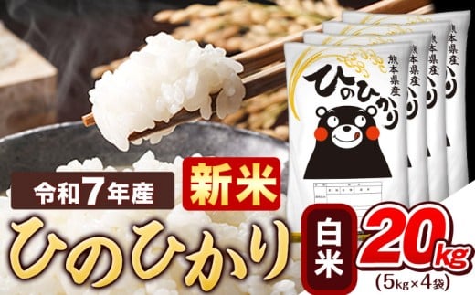 新米 令和7年産  白米 ひのひかり 20kg 《9月下旬-11月上旬頃出荷》熊本県産 ふるさと納税 精米 ひの 米 こめ ふるさとのうぜい ヒノヒカリ コメ お米 おこめ