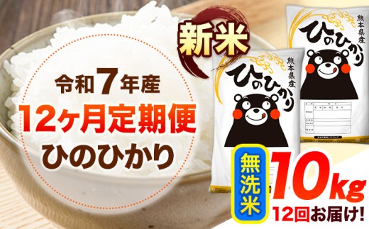 令和7年産【12ヶ月定期便】新米 無洗米 ひのひかり 10kg 《お申し込み月の翌月から出荷開始》 熊本県産 無洗米 精米 ひの 送料無料 熊本県 山江村 SDGs 米 コメ こめ 国産