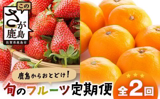 【定期便 2回】鹿島からお届けフルーツ定期便 佐賀美人(みかん)5kg・いちごさん240g×4パック｜ ふるさと納税 フルーツ 果物 定期便 定期 佐賀美人 いちごさん いちご みかん くだもの バラエティ セット 佐賀県 鹿島市 送料無料 人気　D-274