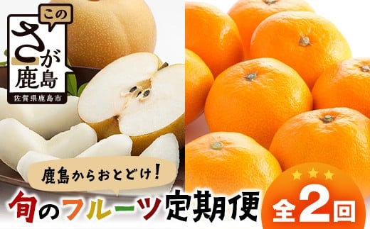 【定期便 2回】鹿島からお届けフルーツ定期便 梨5kg・佐賀美人(みかん)5kg｜ ふるさと納税 フルーツ 果物 定期便 定期 佐賀美人 梨 くだもの バラエティ セット 佐賀県 鹿島市 送料無料 人気　D-273