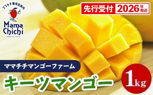 【先行受付】【2026年発送】ママチチマンゴーファームのキーツマンゴー約1kg - 先行予約 沖縄 産地直送 南国フルーツ 旬の味覚 沖縄県産 国産マンゴー 希少種 季節の果物 沖縄県 八重瀬町