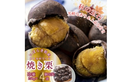 かすみがうら市産　焼き栗　250g×4袋　(冷凍)_焼き栗 栗 焼栗 やきぐり 国産 くり クリ 和栗 マロン おやつ スイーツ 和菓子 冷凍 茨城県 ギフト プレゼント 送料無料【1350919】