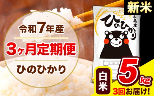 新米 令和7年産 ひのひかり 【3ヶ月定期便】 白米  5kg (5kg×1袋) 計3回お届け 《お申し込み月の翌月から出荷開始》 熊本県産 白米 精米 ひの 米 こめ お米 熊本県 長洲町
