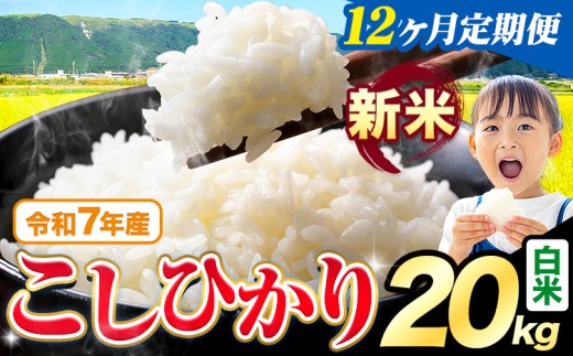 【12ヶ月定期便】令和7年産 新米 白米 こしひかり 20kg《お申込みの翌月出荷》熊本県産 ふるさと納税 白米 精米 ひの 米 こめ ふるさとのうぜい コシヒカリ コメ お米 おこめ