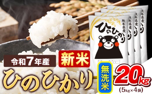 新米 令和7年産  無洗米 ひのひかり 20kg 《9月下旬-11月上旬頃出荷》令和7年産 熊本県産 ふるさと納税 精米 ひの 米 こめ ふるさとのうぜい ヒノヒカリ コメ お米 おこめ