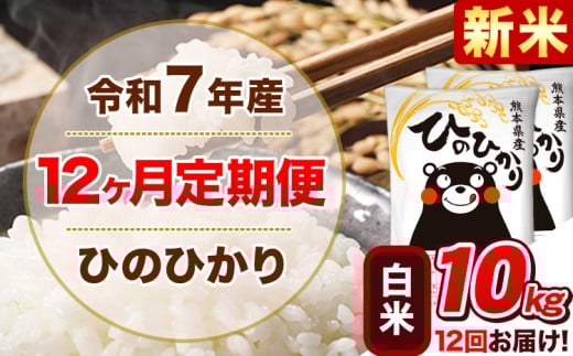 新米 令和7年産【12ヵ月定期便】 白米 ひのひかり 定期便 10kg 5kg×2袋《お申込み翌月から出荷開始》 熊本県産 精米 ひの 米 こめ ヒノヒカリ コメ お米 
