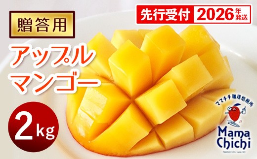 【贈答用】【先行受付・2026発送】ママチチマンゴーファームの贈答用アップルマンゴー約2kg - 先行予約 沖縄県産 産地直送 南国フルーツ 旬の味覚 旬のフルーツ 贈り物 ギフト 沖縄県 八重瀬町