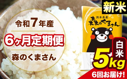 新米 令和7年産 森のくまさん 白米 5kg 5kg×1袋 計6回お届け 《お申し込み月の翌月から出荷開始》 お米 こめ 熊本県産 ご飯 備蓄