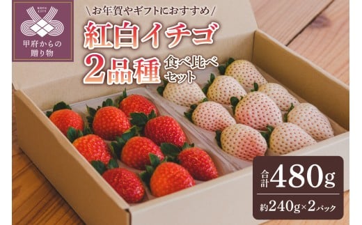 【2025-2026発送分】紅白イチゴ2品種食べ比べセット いちご イチゴ 苺 紅白イチゴ 紅白いちご 紅白苺 先行予約 食べ比べ セット ギフト 贈答 プレゼント 採れたて フルーツ 計2品種 約240g×2パック 冷蔵 フルーツ王国山梨 甲府市産 1310887 - 山梨県甲府市