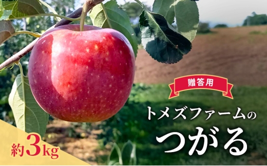 つがる（贈答用） 約3kg（8玉〜12玉入り）トメズファーム　りんご　長野　信州　小諸　果物　フルーツ [№5915-1654]