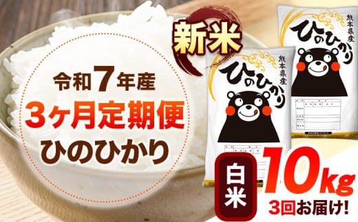 令和7年産【3ヶ月定期便】新米 白米 ひのひかり 10kg 《お申し込み月の翌月から出荷開始》 熊本県産 白米 精米 ひの 送料無料 熊本県 山江村 SDGs 米 コメ こめ 国産