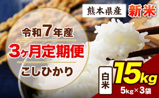 【3ヶ月定期便】令和7年産 定期便 こしひかり 15kg 新米 白米 阿蘇 うぶやま 米 定期便 熊本県産 ふるさと納税 精米 ひの 米 こめ ふるさとのうぜい コシヒカリ コメ お米 おこめ《申込み翌月から出荷》