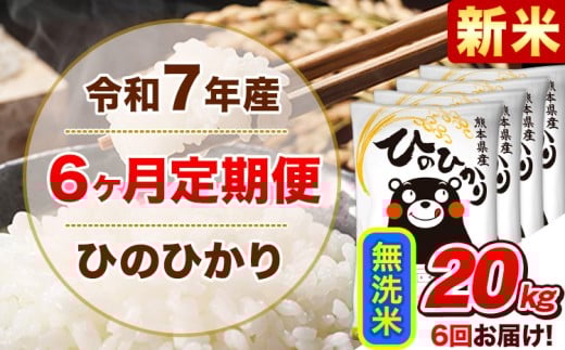 新米 令和7年産 【6ヵ月定期便】 無洗米 ひのひかり 定期便 20kg 5kg×4袋《お申込み翌月から出荷開始》 熊本県産 精米 ひの 米 こめ ヒノヒカリ コメ お米