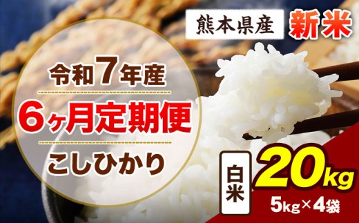 【6ヶ月定期便】令和7年産 定期便 こしひかり 20kg 新米 白米 阿蘇 うぶやま 米 定期便 熊本県産 ふるさと納税 精米 ひの 米 こめ ふるさとのうぜい コシヒカリ コメ お米 おこめ《申込み翌月から出荷》