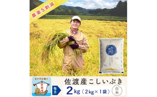 【新米予約 6か月定期便】佐渡島産こしいぶき 白米2Kg 令和7年 ～農薬5割減～ 農家直送 2261822 - 新潟県佐渡市