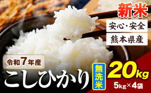 令和7年産 新米 こしひかり 20kg 《9月下旬-11月上旬頃出荷》令和7年産 熊本県産 ふるさと納税 新米 無洗米 ひの 米 こめ ふるさとのうぜい コシヒカリ コメ お米 おこめ