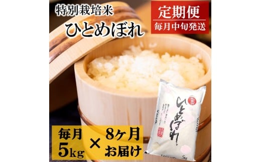 令和7年産【定期便8回】竹原田ファームの特別栽培米ひとめぼれ5kg×8回