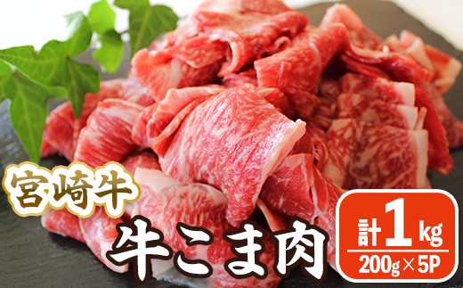 宮崎牛 小間切れ (計1kg・200g×5) 牛肉 精肉 お肉 黒毛和牛 ブランド和牛 切り落とし こま肉お取り寄せ 冷凍 国産 宮崎県 【MA-11】【株式会社マルミヤストア】