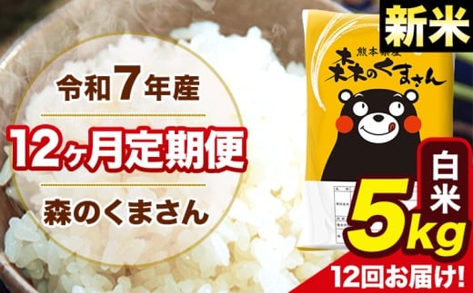 新米 令和7年産 森のくまさん 白米 5kg 5kg×1袋 計12回お届け 《お申し込み月の翌月から出荷開始》 お米 こめ 熊本県産 ご飯 備蓄