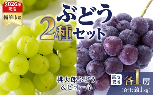 【2026年発送分　先行受付開始！】びぜん葡萄「桃太郎ぶどう」「ピオーネ」（露地栽培）各1房入（令和8年8月中旬～9月中旬頃発送）【 岡山県備前市産 桃太郎ぶどう ピオーネ 露地栽培 各1房 セット 樹上完熟 】 2274854 - 岡山県備前市