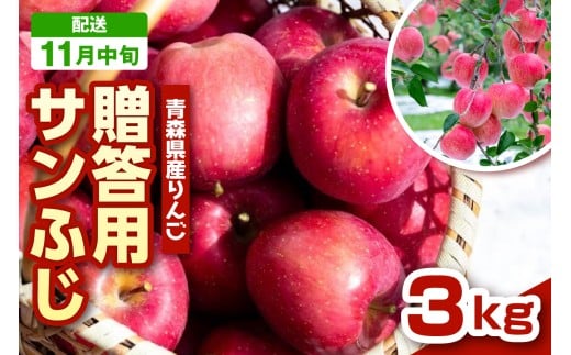 【2025年11月中旬発送】 りんご　青森 サンふじ 3kg 程度 《 贈答用 》 農家直送 サンフジ 青森県 五所川原市 贈答 プレゼント 贈り物 林檎 リンゴ apple