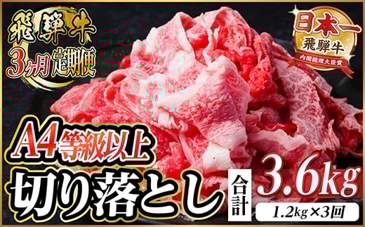 レビューキャンペーン実施中!＜毎月定期便＞飛騨牛 厳選切り落とし 計3.6kg全3回　小分け【4055982】