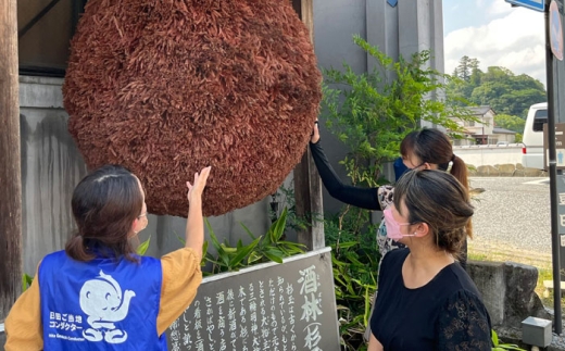 [ご当地お土産付き]豆田町散策ガイドツアー2名分 日田市 / こだわり大分 観光ツアー レトロ 大分県 [ARBT003]