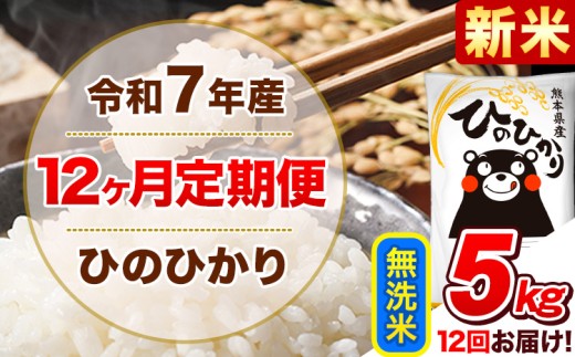 新米 令和7年産 【12ヵ月定期便】 無洗米 ひのひかり 定期便 5kg 5kg×1袋《お申込み翌月から出荷開始》 熊本県産 精米 ひの 米 こめ ヒノヒカリ コメ お米